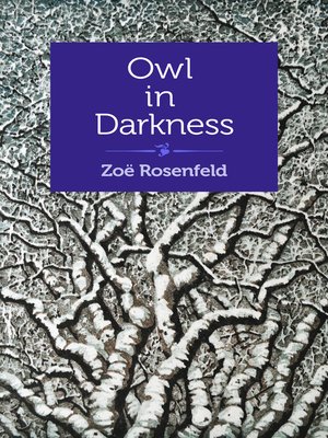 cover image of Owl in Darkness